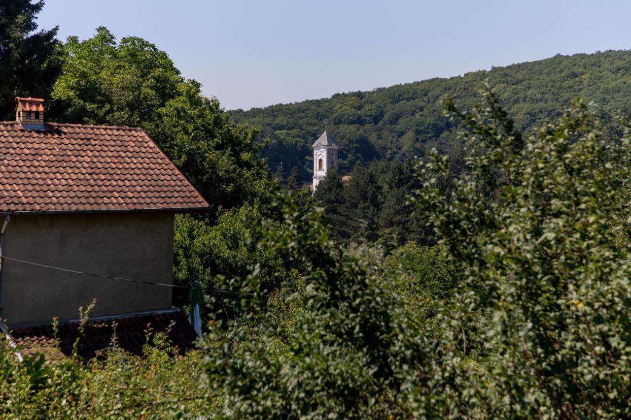 Mi Casa 2 Villa Rednek Kültér fotó